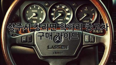 상주시 청리면 학하리 중고차 구매 가이드