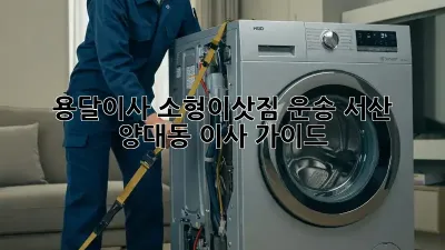 용달이사 소형이삿짐 운송: 서산 양대동 이사 가이드