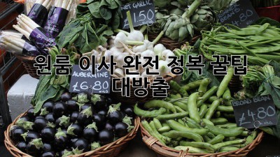 📦 원룸 이사 완전 정복! 꿀팁 대방출🍯